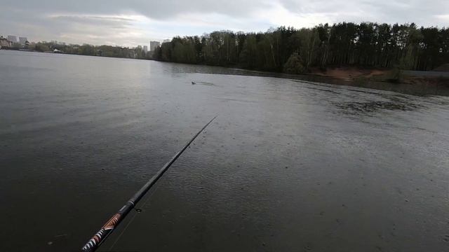 Рыбалка на Москва реке 2020