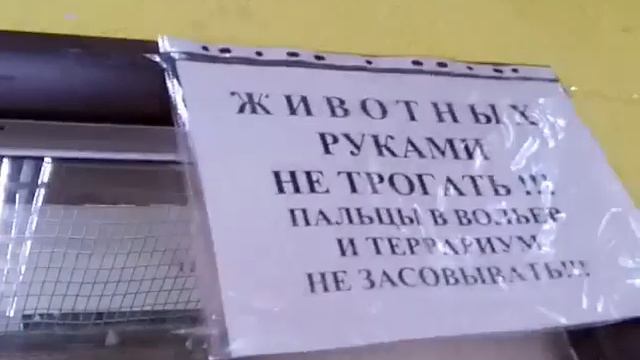 ZOO PIZZA 🍕🐹!Ням_ням мини зоопарк💋!#Baby Arisha смотреть онлайн