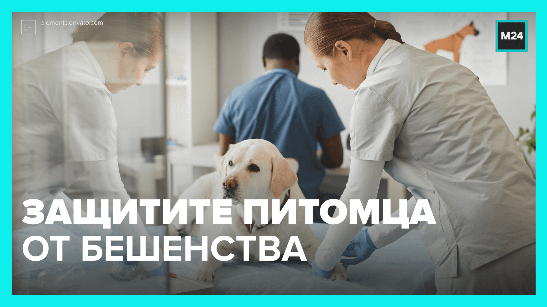 День против бешенства. День борьбы против бешенства. Всемирный день от бешенства. Вакцинация против бешенства. 28 Сентября день бешенства.