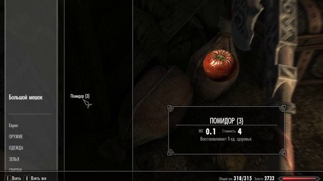 #26 Скайрим Как построить свой дом, огород и пасеку | Факельная шахта смотреть онлайн