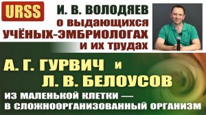 Выдающиеся учёные-эмбриологи А. Г. Гурвич и Л. В. Белоусов и их труды. И. В. Володяев