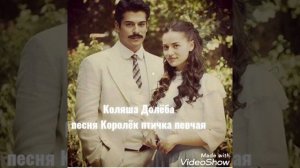 Коляша Долёба песня Королёк птичка певчая