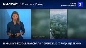 В Крыму медузы атаковали побережье города Щёлкино