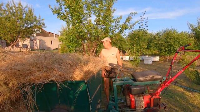 ЗАГОТОВКА СЕНА СЕНО НА ХАЛЯВУ для компоста