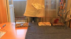 Западок, Хлопок, Боёк, Лучёк. Как сделать своими руками. Краткие рекомендации от ветерана.