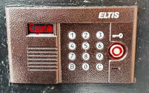 Домофон ругается матом