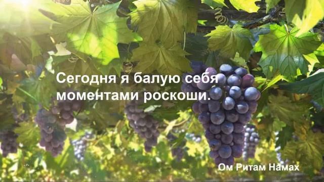 20 День Медитации ??? смотреть онлайн