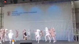 Танец Кошка беспородная