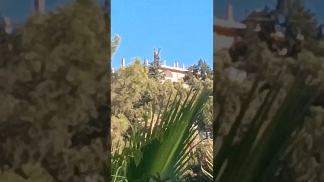 Дорога от ресторана до пляжа. Senza garden holiday club 5 турция konakli, alanya смотреть онлайн