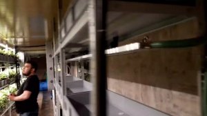 Клубничная сити ферма клиента