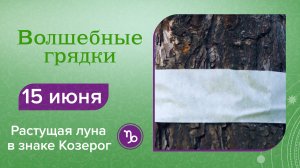 Волшебные грядки, 15 июня. Растущая луна в знаке Козерог