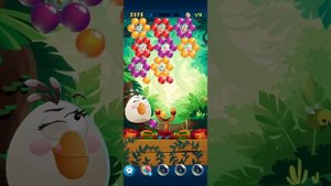 Angry Birds POP Bubble Shooter Gameplay | iOS, Android, Puzzle Game