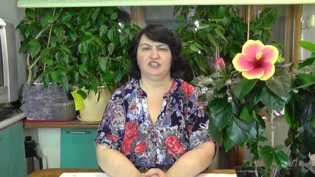 Как бороться с щитовкой на комнатных растениях? - видео Ольги Пряниковой смотреть онлайн