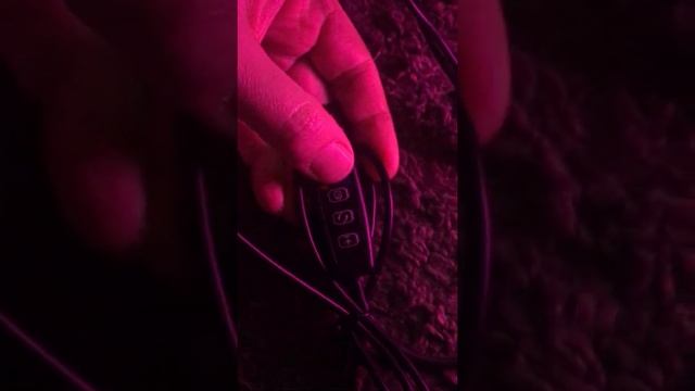 Фитолампа 20Вт на 2 рожка с таймеров. Автоматическое выращивание рассады. смотреть онлайн