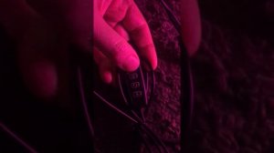 Фитолампа 20Вт на 2 рожка с таймеров. Автоматическое выращивание рассады.