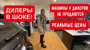 Лиса рулит - подборы, топ авто и советы