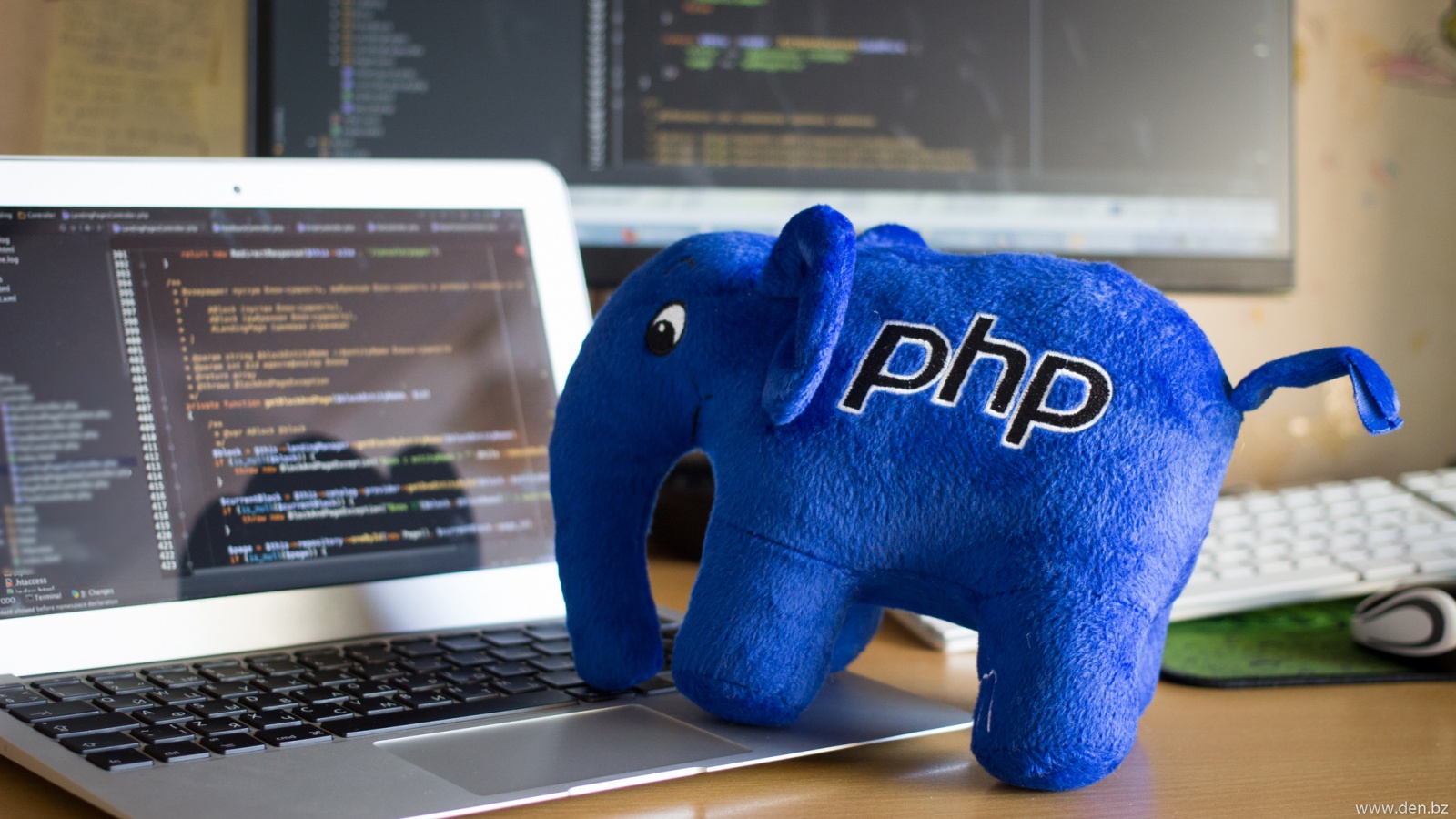 PHP v.7+ и MySQL с нуля
1.1 Введение в курс