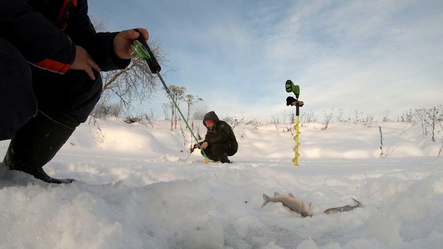 Хариус под Новый Год. смотреть онлайн