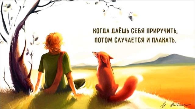 принципы маленького принца 04 смотреть онлайн