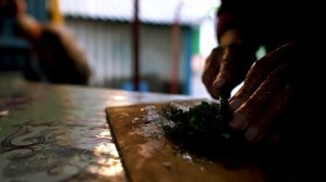 TASTY GRANNY'S RECIPE. Life in a village on The Don.