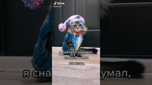 Наташка-ромашка. исп.Валерий Сёмин. видеоряд @bysy3,14.
