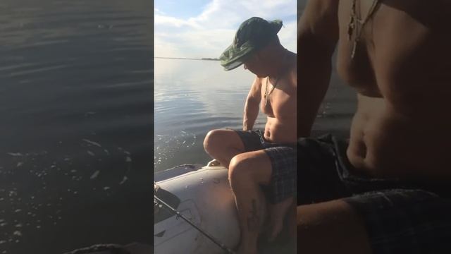 Рыбалка  астрахань волга база енотаевка