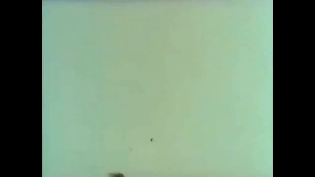 Грузинская пчела. Фильм СССР.mp4