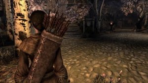 Skyrim|PS4|Как изменить расположение камеры от 3 лица на PS4|отдалить | приблизить