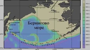 Берингово Море - рассказывает океанолог Михаил Флинт