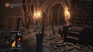 Где найти Ядовитый туман? Dark Souls 3