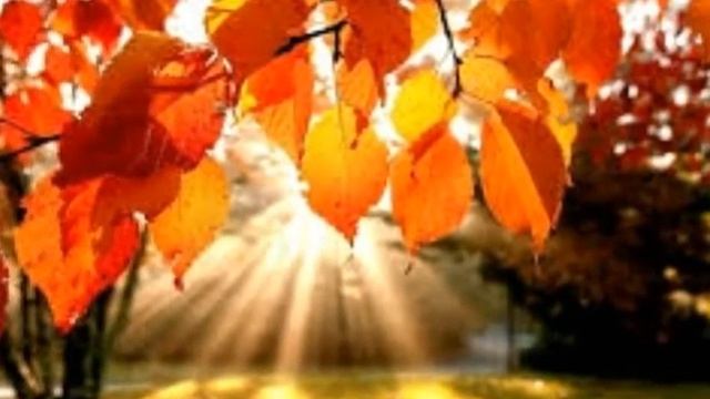 Игра в две гитары. Три совета для начинающих. смотреть онлайн