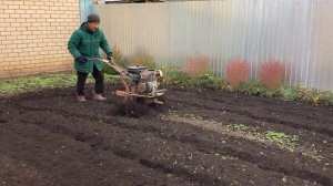 Мини огород Николя - Пашем землю мотоблоком Каскад!