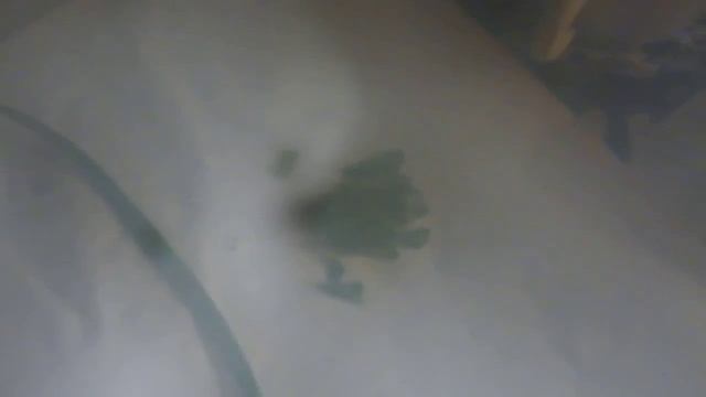 Прикорм. Крупяно-овощной суп-пюре. Готовим обед малышу смотреть онлайн