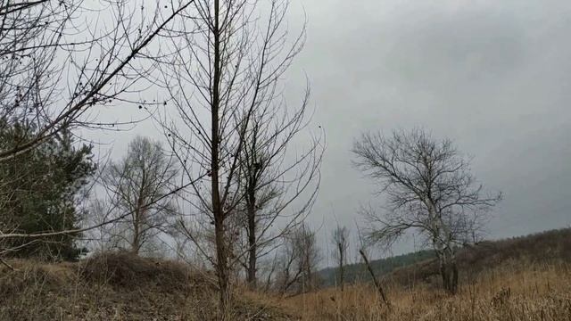 6 января праздник СОЧЕЛЬНИК . КАНУН РОЖДЕСТВА . что нельзя делать ...