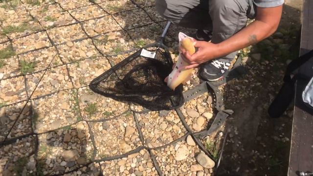 Обед, самая жара, а Форель клюёт смотреть онлайн