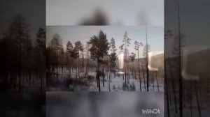 Природа в городе Новая Чара
