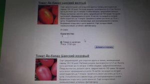 КАК ВЫБРАТЬ САМЫЕ ТЕНЕВЫНОСЛИВЫЕ ТОМАТЫ? Ольга Чернова.
