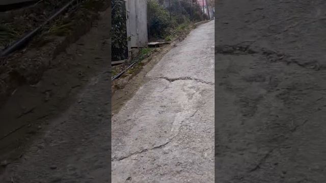 #Прогулка по ул.Пятигорской в Сочи.