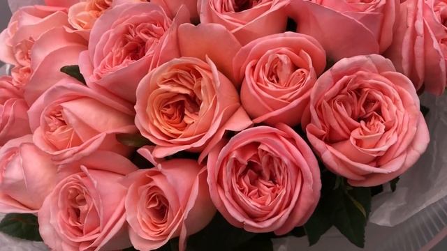 Букет из розы Лондон Ай 25 штук 60 см смотреть онлайн