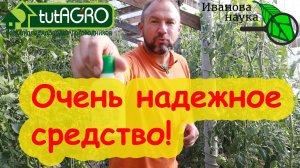 СРЕДСТВО XIX века. 145 ЛЕТ БЕЗУПРЕЧНОЙ РЕПУТАЦИИ! Болезни и вредителей уничтожаем одним ударом.