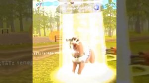 {💫вилд крафт видео из тт часть 2/?💫}