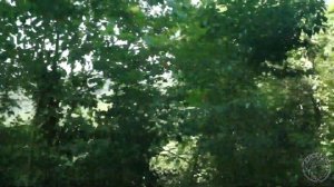 Экскурсия c Адлера на гору Ахун (2017)