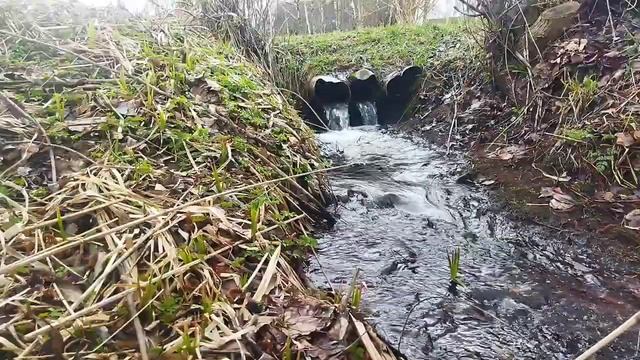 Текущая вода очень хорошо снимает тревогу.Звуки дождя для сна и отдыха. смотреть онлайн