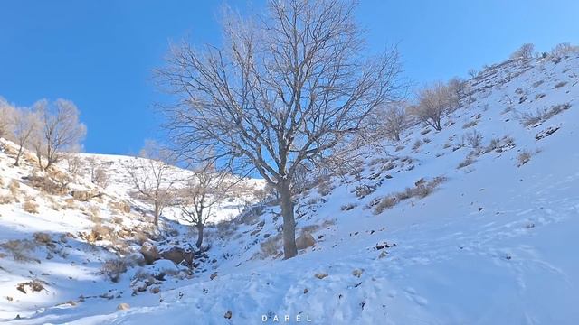 "Agents in intense search for the child and help from Rasul and Narges: 2024 смотреть онлайн