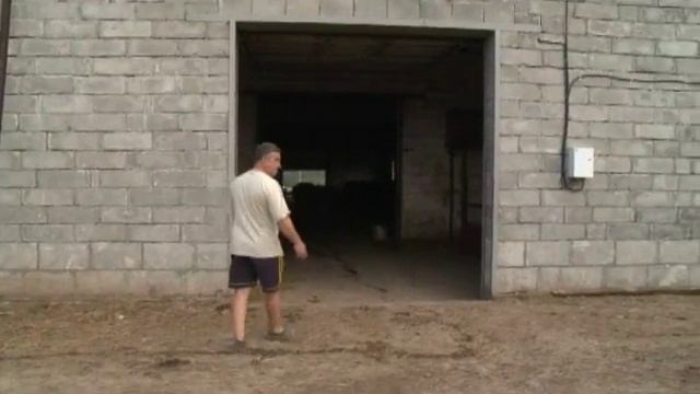 Факт - полистиролбетонные подсобные хозяйства для коров - лучшее решение