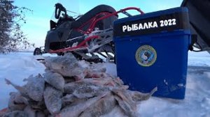 ПЕРВАЯ РЫБАЛКА ЭТОГО ГОДА