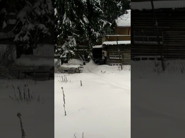 18 декабря 2022 г. смотреть онлайн