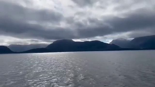 Валькирия-дорога в Вальхаллу.