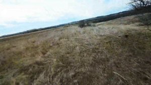 Как снимает DJI Air Unit O3 | Гонзаю по полям на сверх звуковой