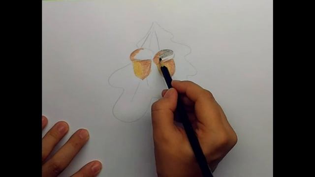 Как нарисовать желуди смотреть онлайн